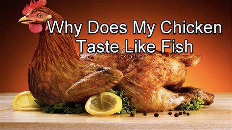 my chicken tastes like fish